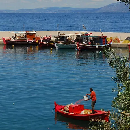 Penzion Athina-milina *